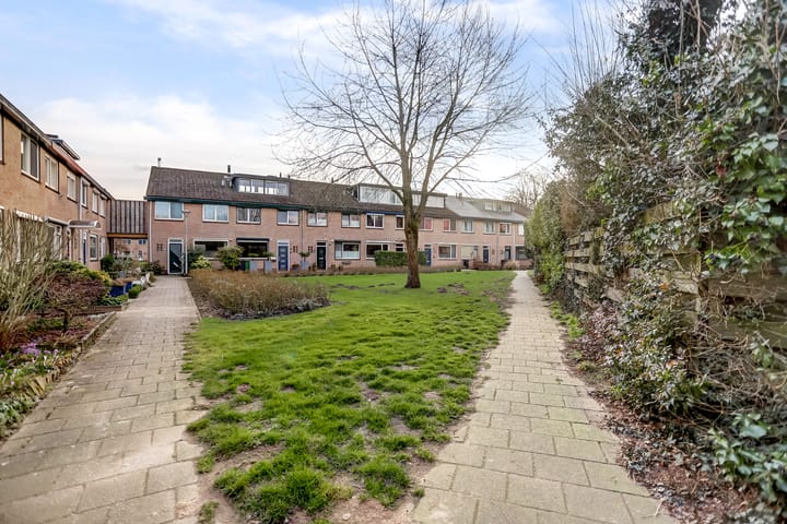 Foto 42 van Looyenland 70