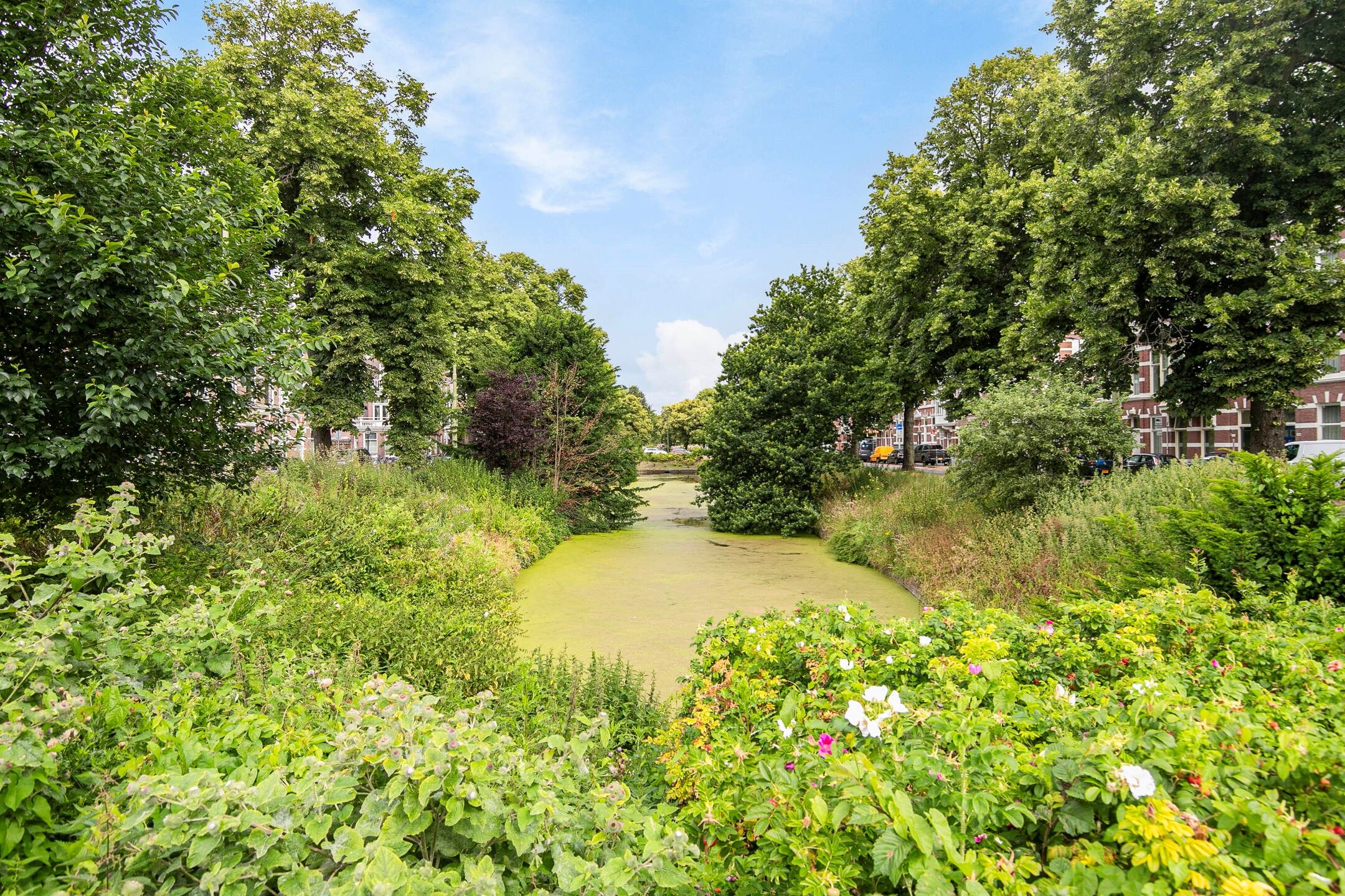 Foto 36 van Obrechtstraat 83