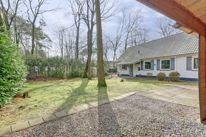 Foto 2 van Kievit 12-B285