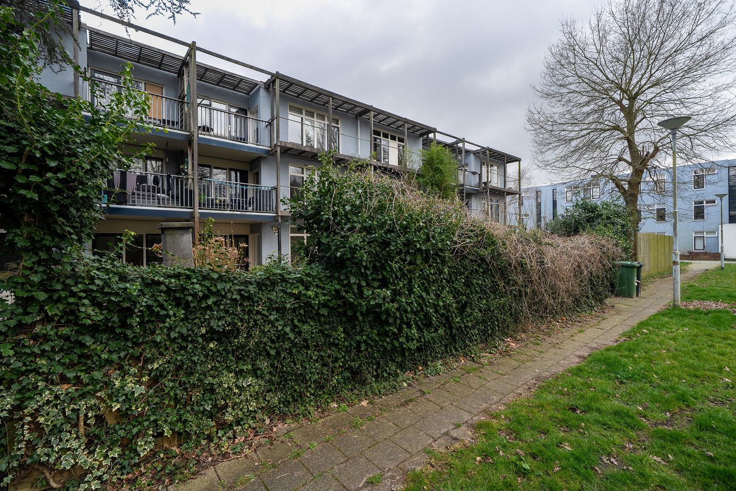 Foto 29 van Bazeldijk 7