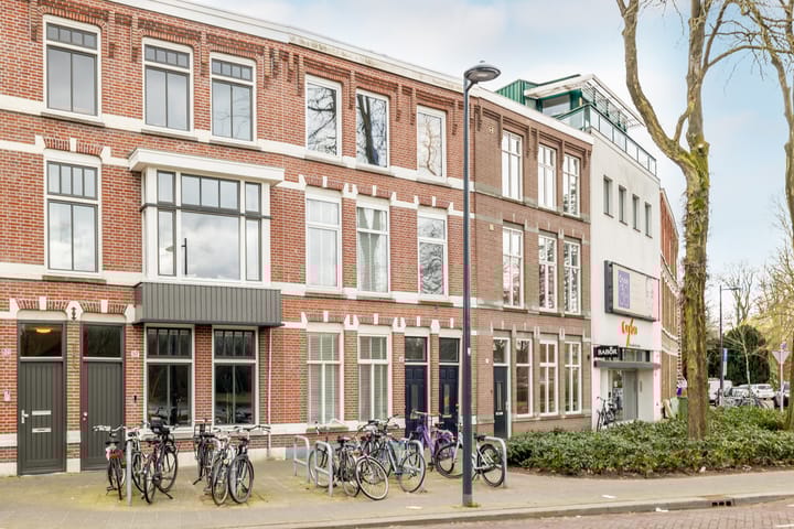 Foto 5 van Wilhelminapark 52-B