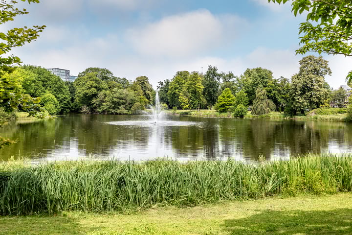 Foto 19 van Wilhelminapark 52-B