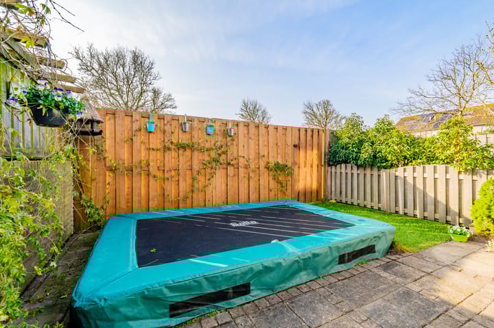 Foto 13 van Zeekoet 26