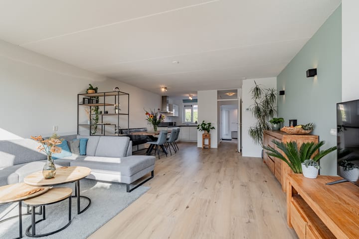 Foto 14 van Zeekoet 26