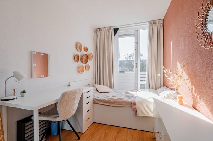 Foto 24 van Zeekoet 26