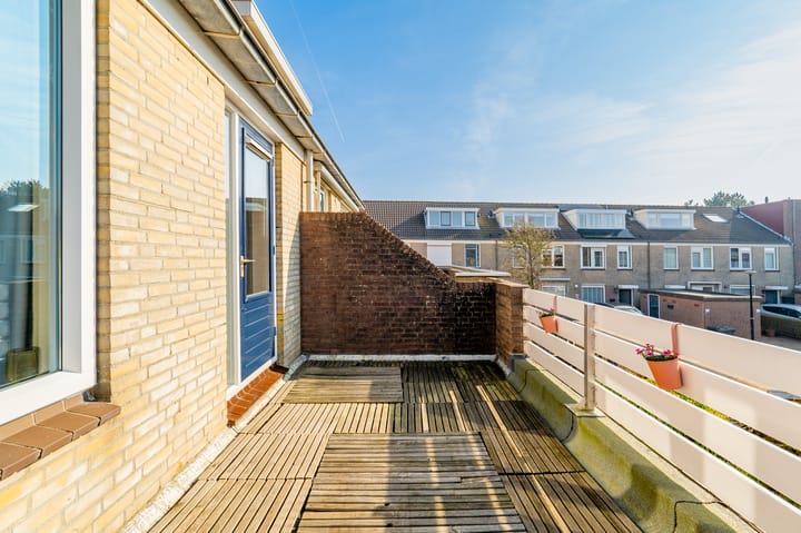 Foto 26 van Zeekoet 26