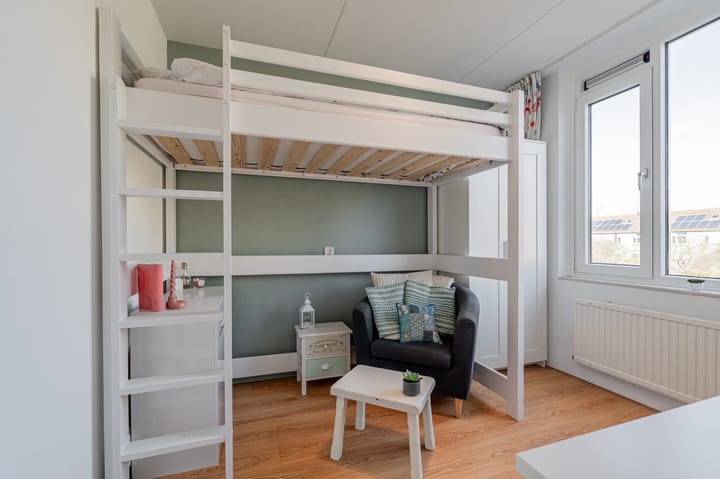 Foto 29 van Zeekoet 26