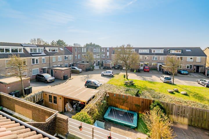 Foto 47 van Zeekoet 26