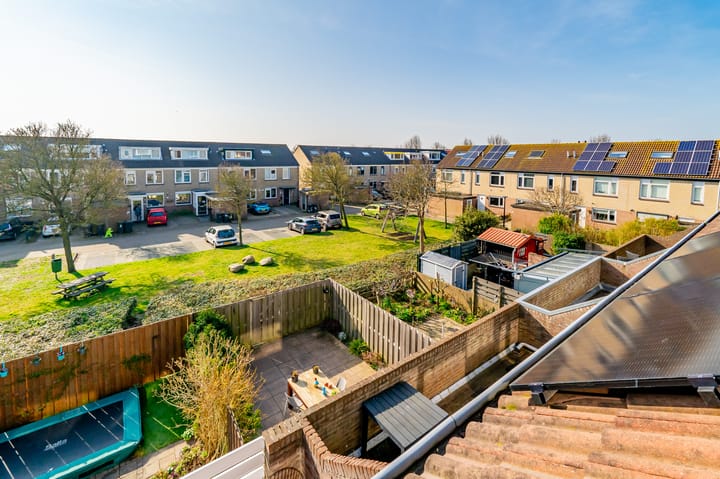 Foto 48 van Zeekoet 26