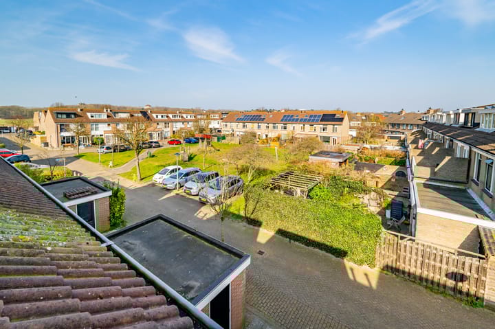 Foto 49 van Zeekoet 26