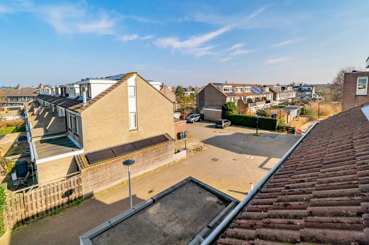 Foto 50 van Zeekoet 26