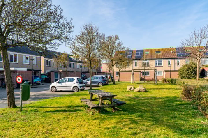 Foto 51 van Zeekoet 26