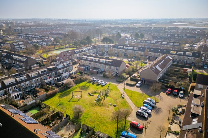 Foto 52 van Zeekoet 26