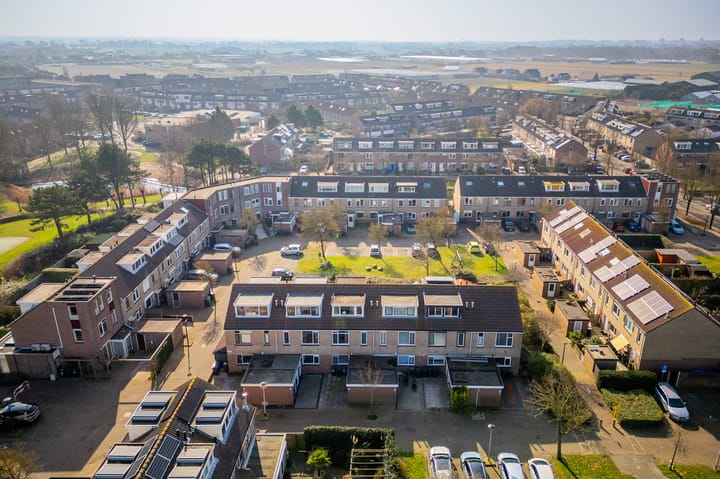 Foto 53 van Zeekoet 26