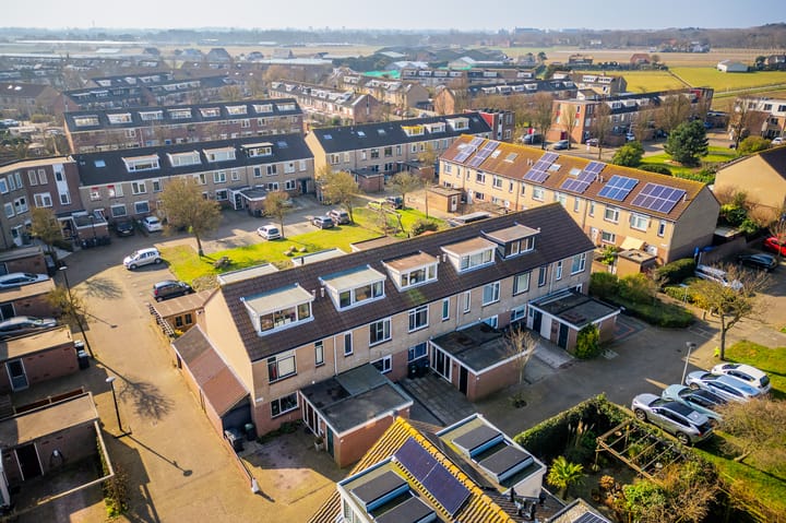 Foto 54 van Zeekoet 26