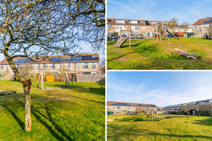 Foto 57 van Zeekoet 26