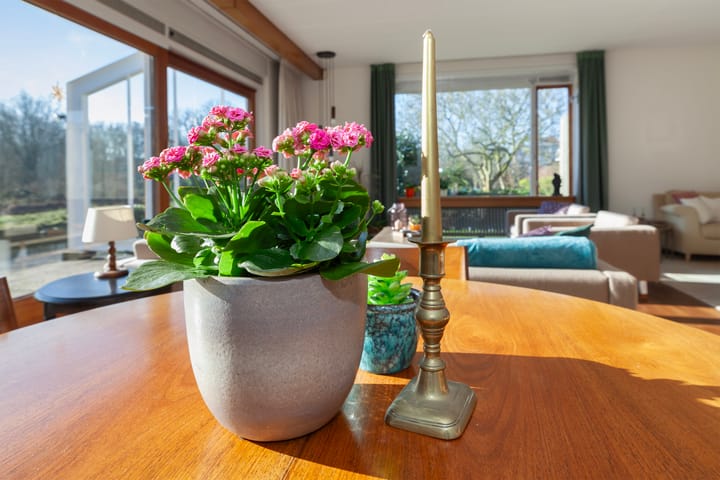 Foto 15 van Biezenkamp 1