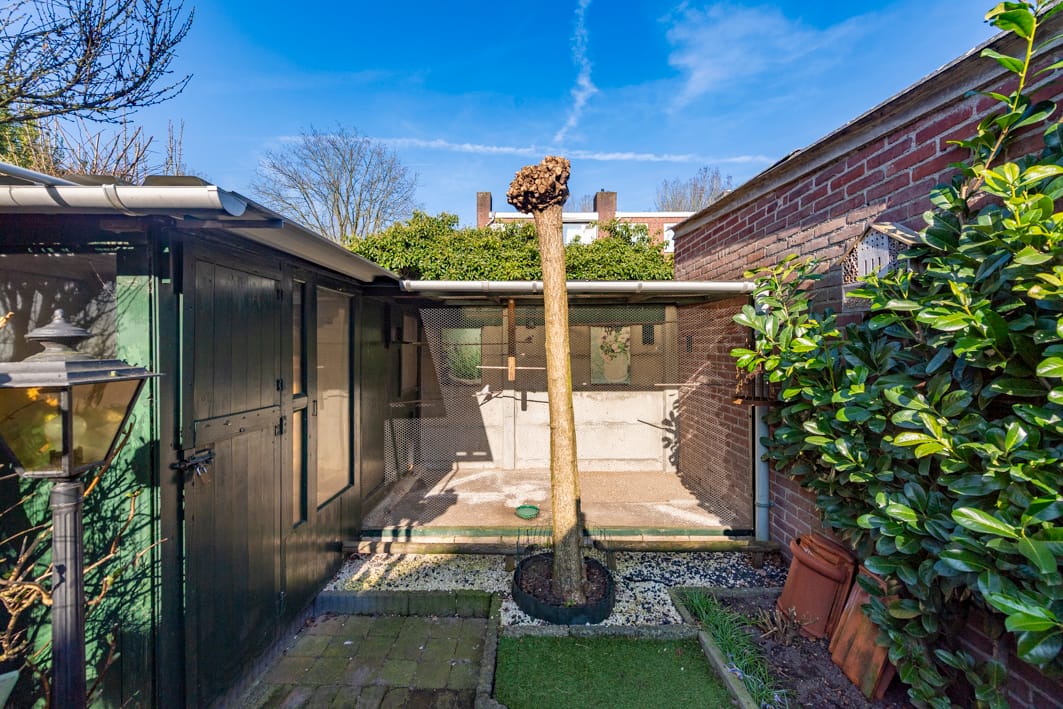 Foto 34 van Luitenant Wilsstraat 29