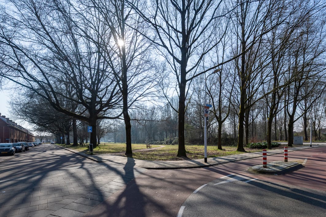 Foto 41 van Luitenant Wilsstraat 29