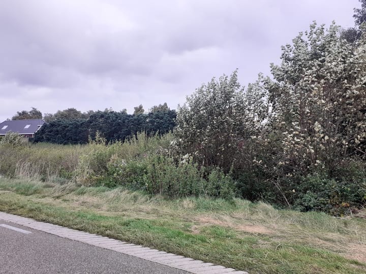 Foto 2 van Alteveersterweg 13