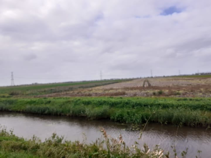 Foto 3 van Alteveersterweg 13