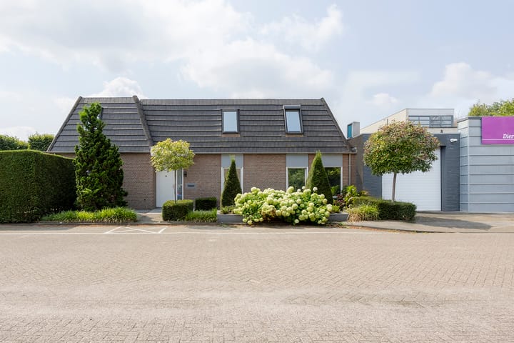 undefined main image