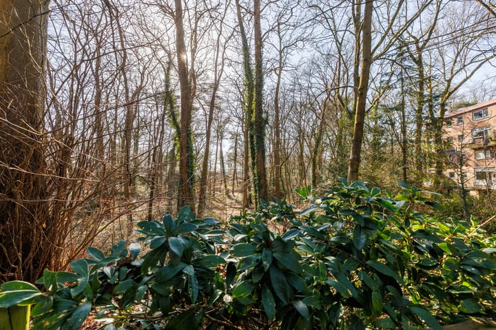 Foto 26 van van Heutszlaan 92-1