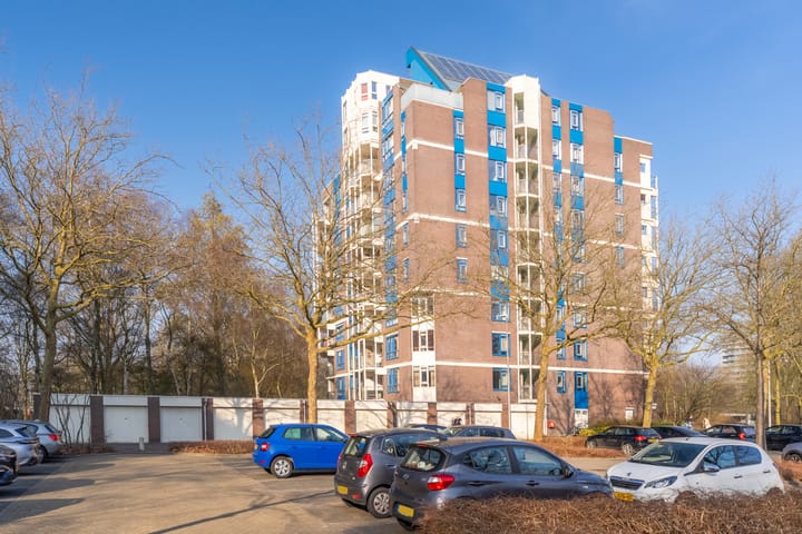 Photo 32 of Logger 182