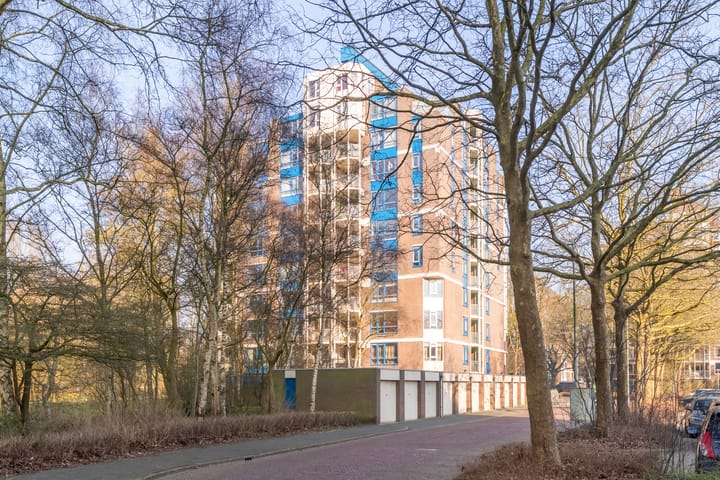 Photo 33 of Logger 182