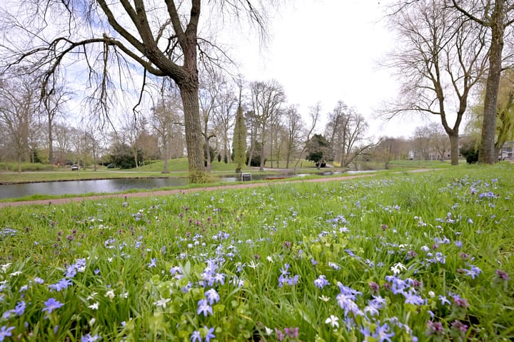 Foto 18 van Boedekerstraat 12-C