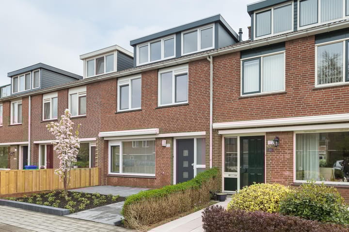 Photo 3 of Balsemkruid 170