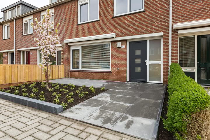 Photo 4 of Balsemkruid 170