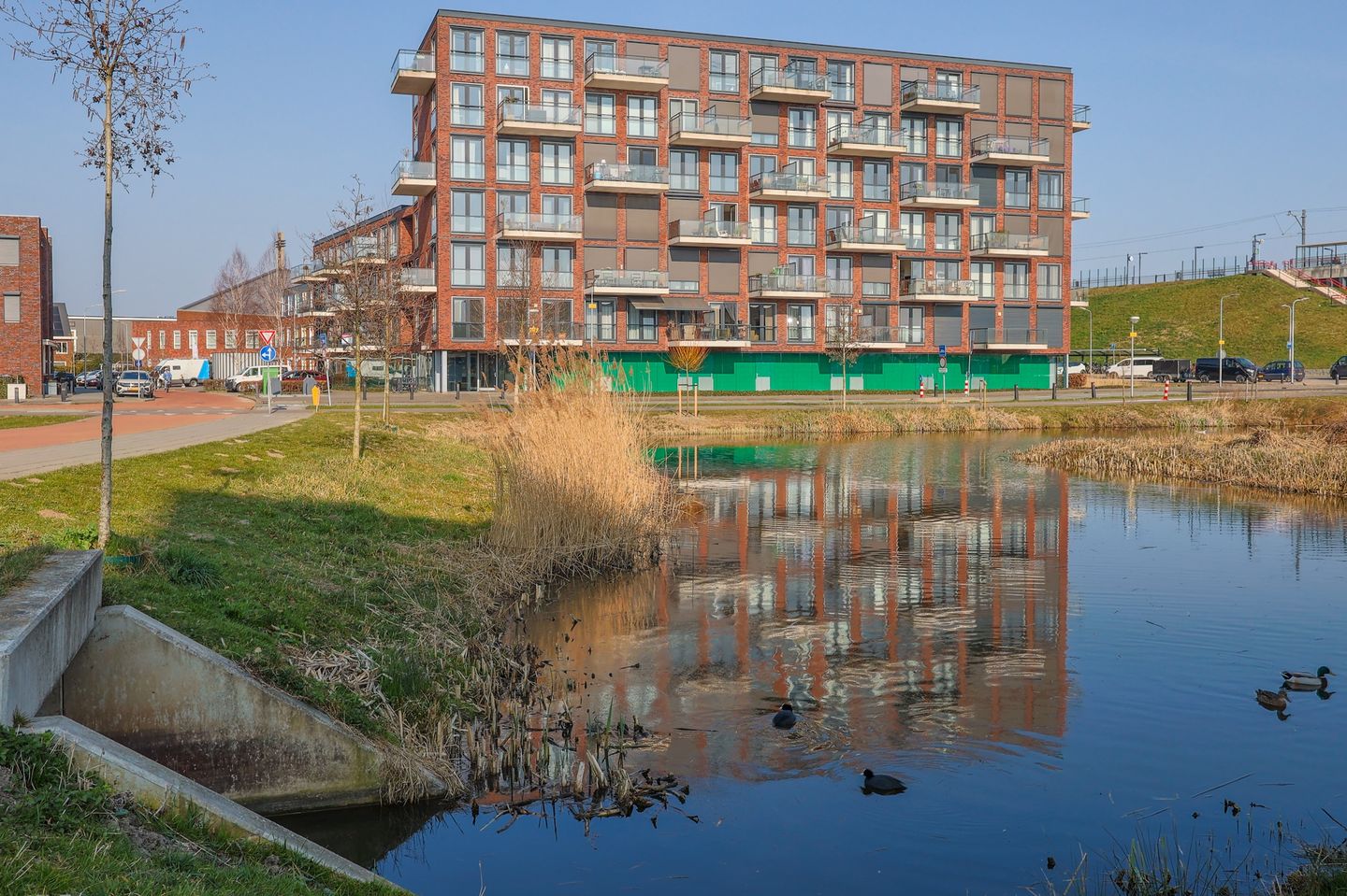 Foto 35 van Sonate 51