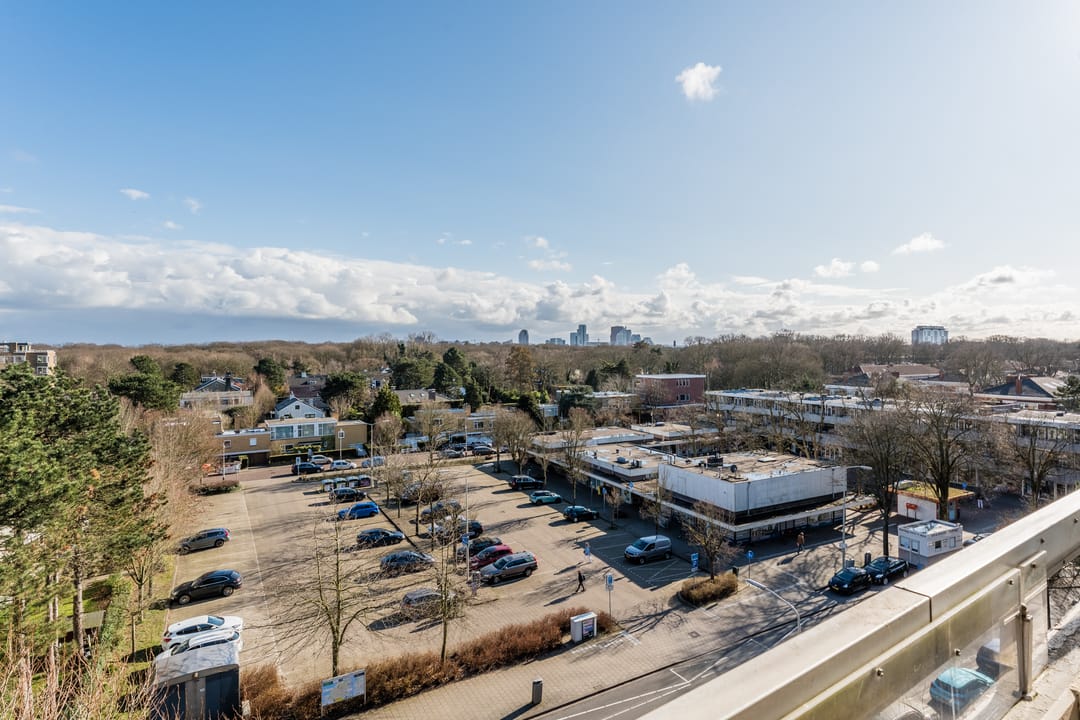 Foto 46 van Theo Mann-Bouwmeesterlaan 50