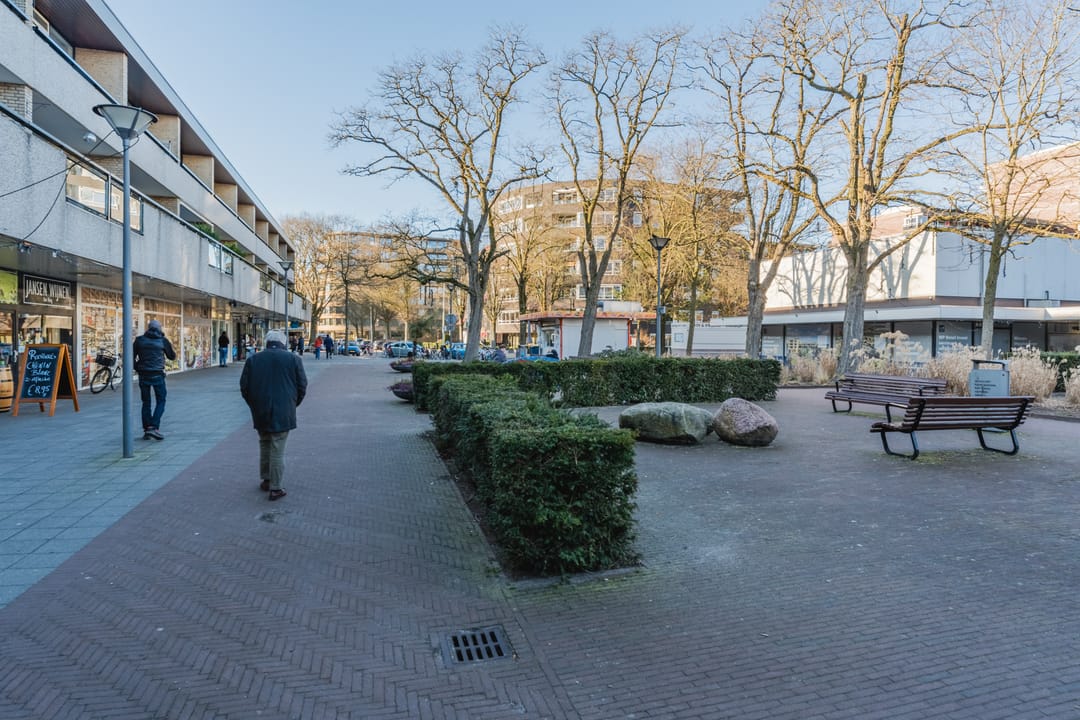 Foto 56 van Theo Mann-Bouwmeesterlaan 50