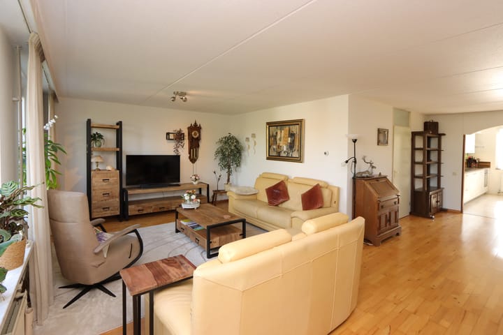 Foto 3 van De Lipizzaner 35-A