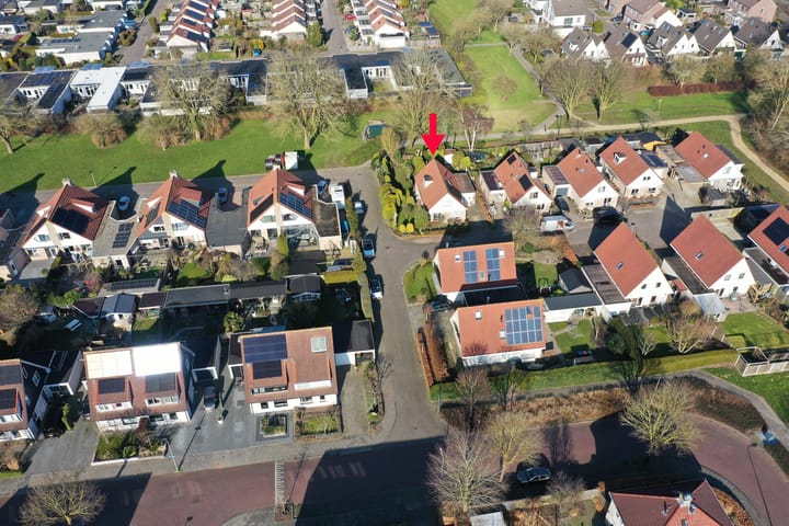 Foto 5 van De Lipizzaner 35-A