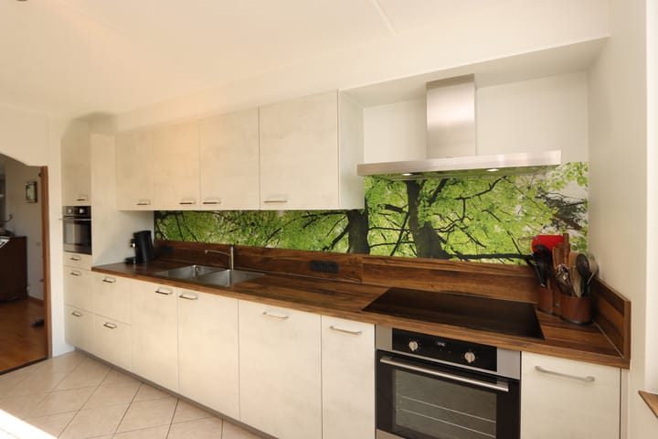 Foto 20 van De Lipizzaner 35-A