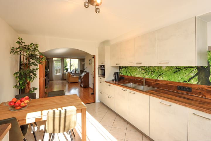 Foto 21 van De Lipizzaner 35-A