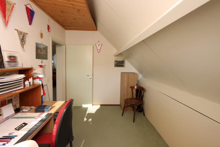 Foto 32 van De Lipizzaner 35-A