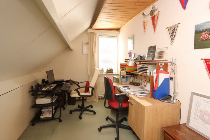 Foto 33 van De Lipizzaner 35-A