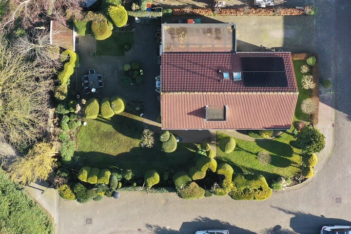 Foto 38 van De Lipizzaner 35-A