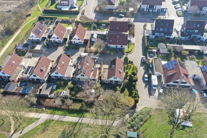 Foto 37 van De Lipizzaner 35-A