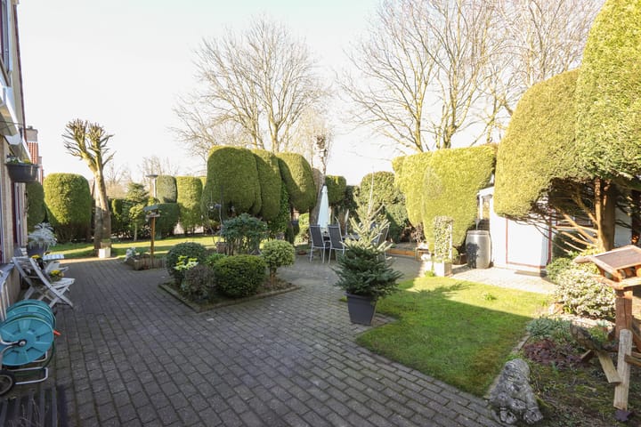 Foto 39 van De Lipizzaner 35-A