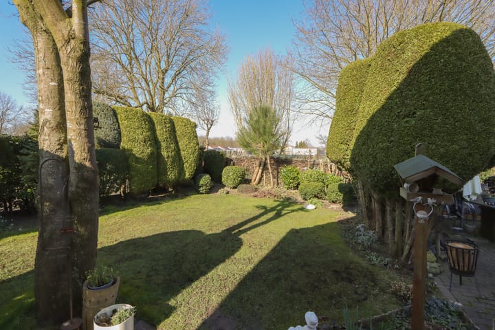 Foto 42 van De Lipizzaner 35-A