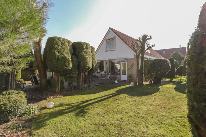 Foto 43 van De Lipizzaner 35-A