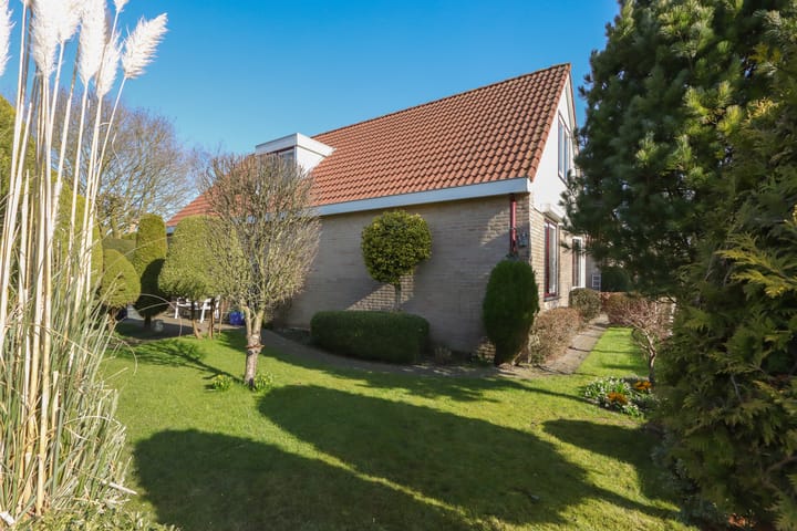 Foto 44 van De Lipizzaner 35-A