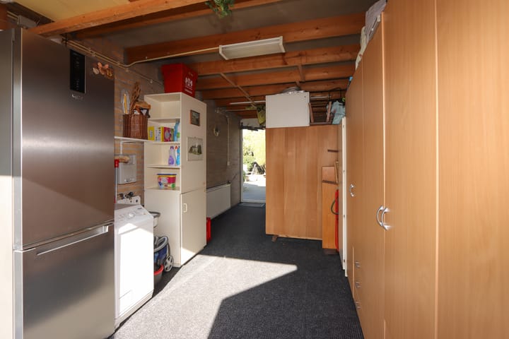 Foto 45 van De Lipizzaner 35-A