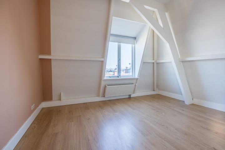 Foto 43 van Van Aerssenstraat 103-A