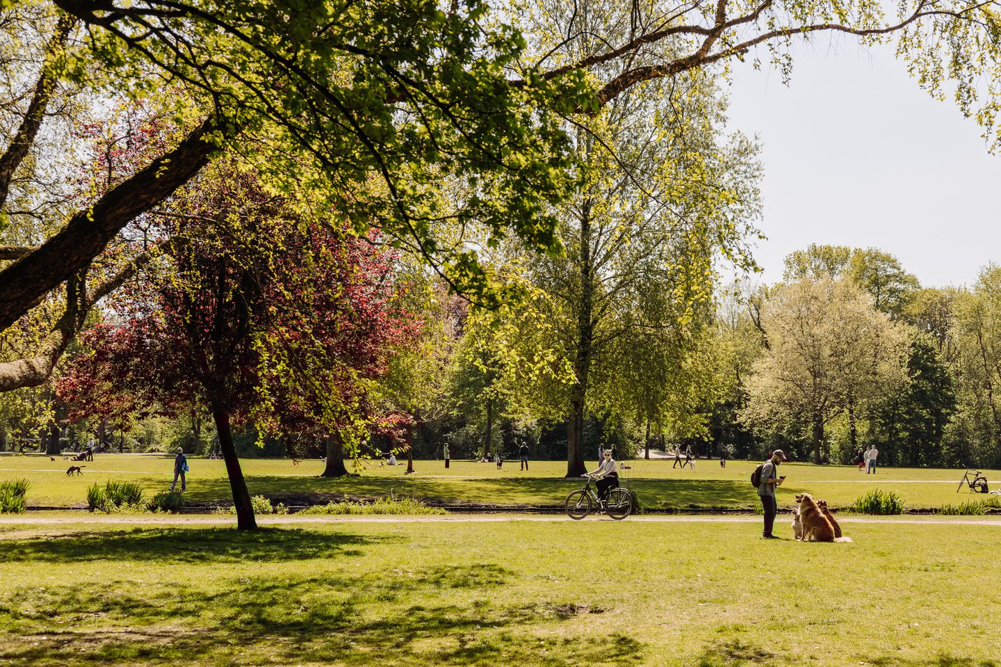 Foto 35 van Cornelis Krusemanstraat 1-K